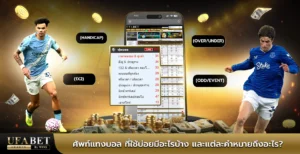 ศัพท์แทงบอล